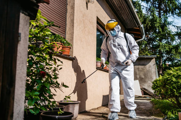 Best Wasp Removal Services  in Burgettstown, PA