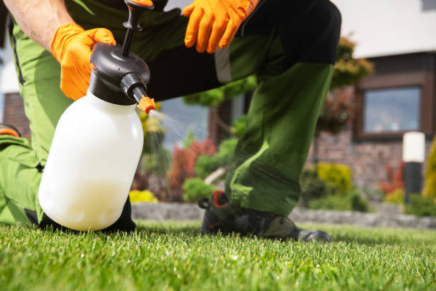 Best Affordable Pest Control Services  in Burgettstown, PA