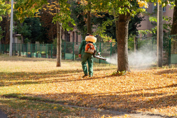 Best Pest Control Treatment  in Burgettstown, PA