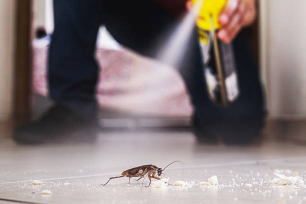  Burgettstown, PA Pest Control Pros